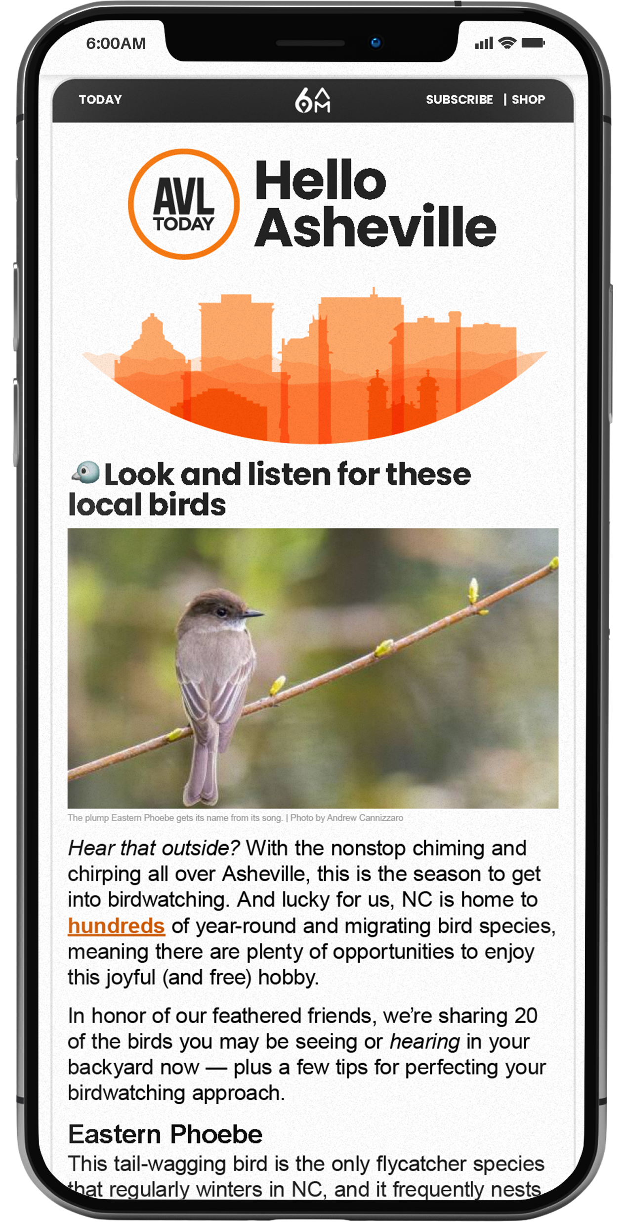 Phone showing content for Asheville