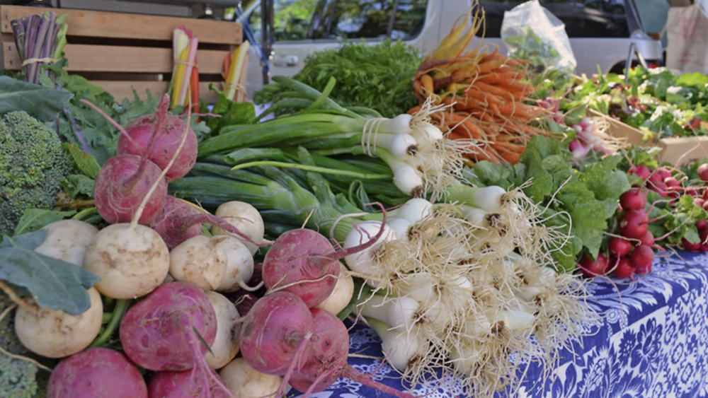 Turnips, green onions, and radish on a blue pattern tablecloth.