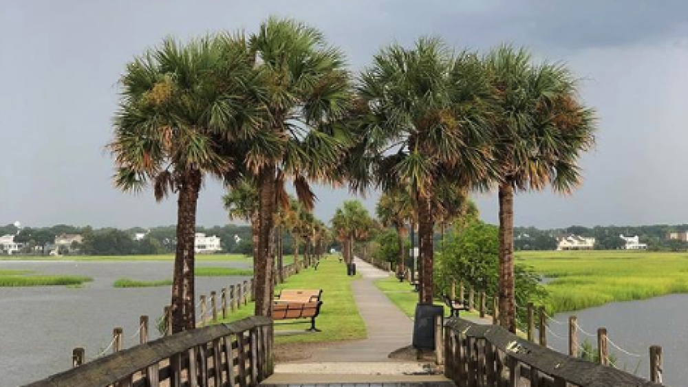 pitt street bridge