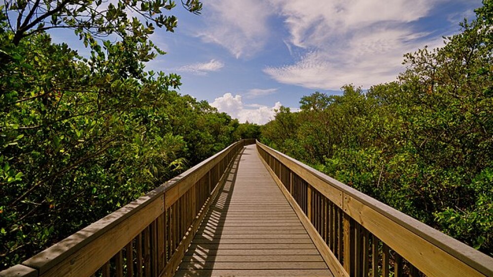 Weedon_Island_preserve_-_panoramio.jpeg