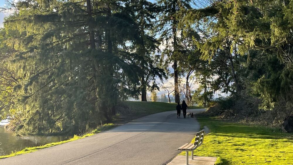 25 parks in Seattle, Washington - SEAtoday