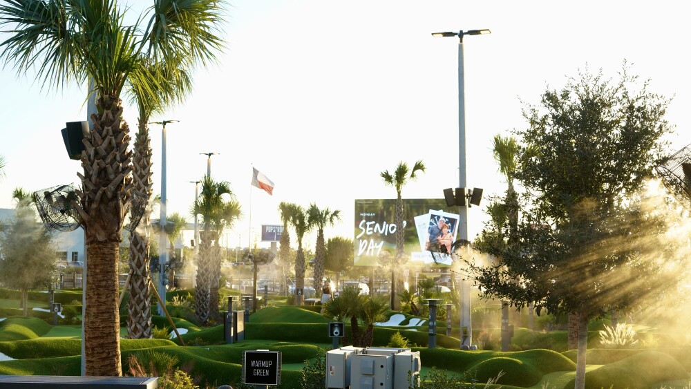 Green mini golf areas with brown palm trees and yellow sunlight streaking through.