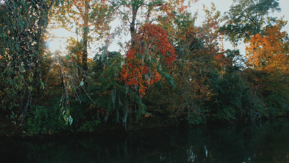 Fall tog/image2 copy.jpeg
