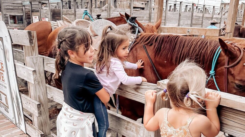 Three young girls petting horses through a fence. 