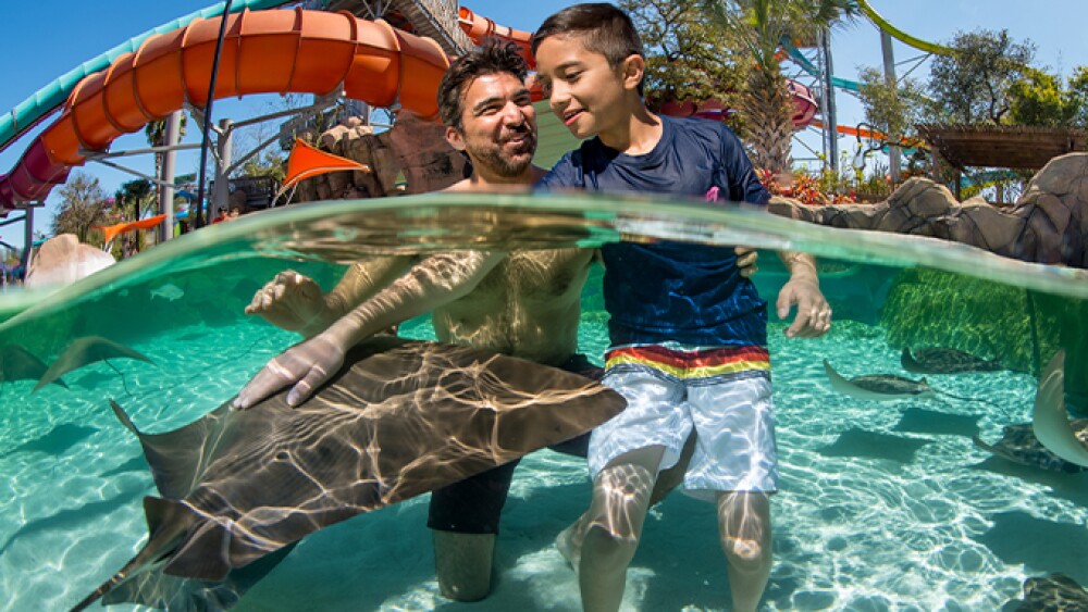 Your Ultimate Guide To San Antonio SATXtoday your-ultimate-guide-to-san-antonio-satxtoday