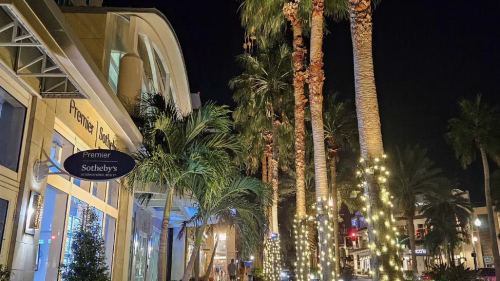 Palm trees have holiday lights on them in St. Pete. There are people walking around the shops at night.