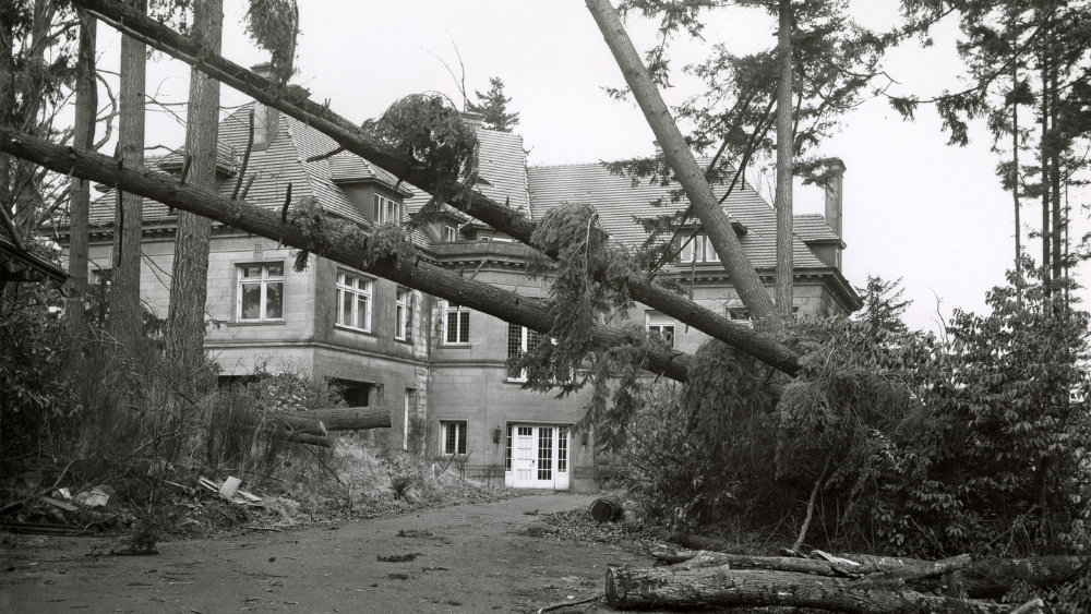 Large trees lean over in front of Portland's Pittock Mansion, showing the devastation of the Columbus Day storm in 1962.