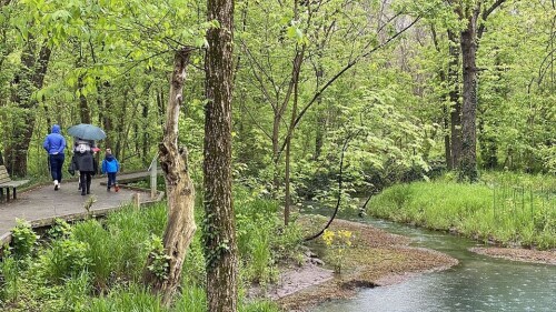 A view of the Blue Hole at McConnell Springs.