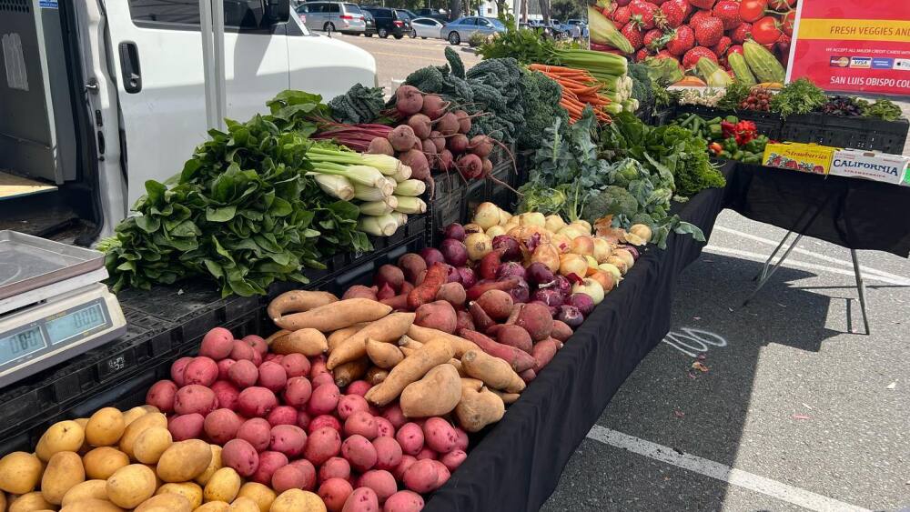 Cardiff Farmers Market fruits and veggies table