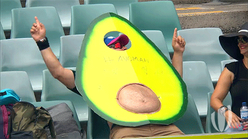 Avocado gif