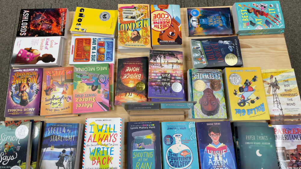 WStoday: 2024 Summer reads layed out on the table at Book Ferret in Winston-Salem, NC