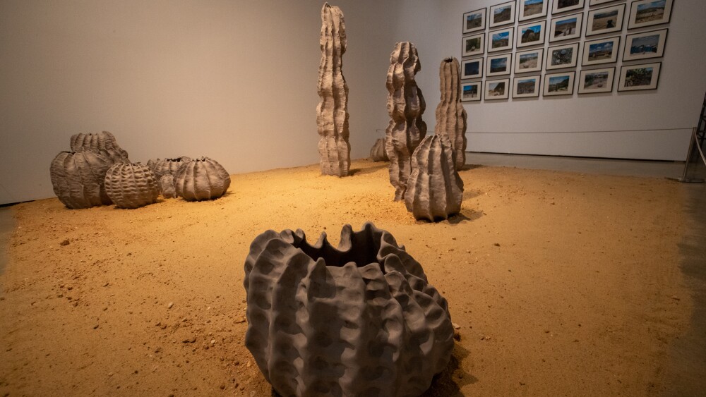 Soy de Tejas Photos at Centro de Artes _Arts-4.jpg