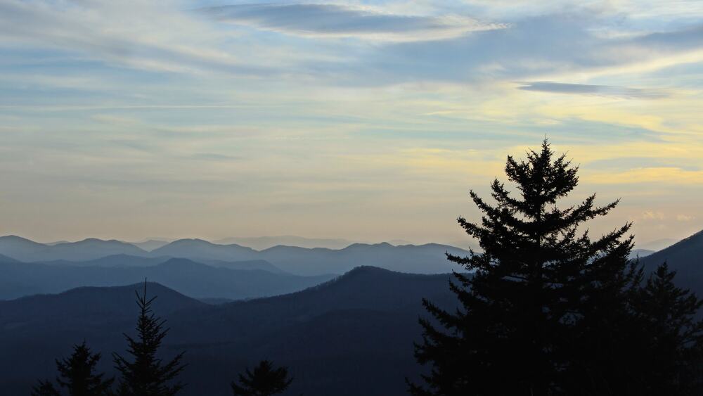 The outline of mountains in the distance and a large evergreen tree.