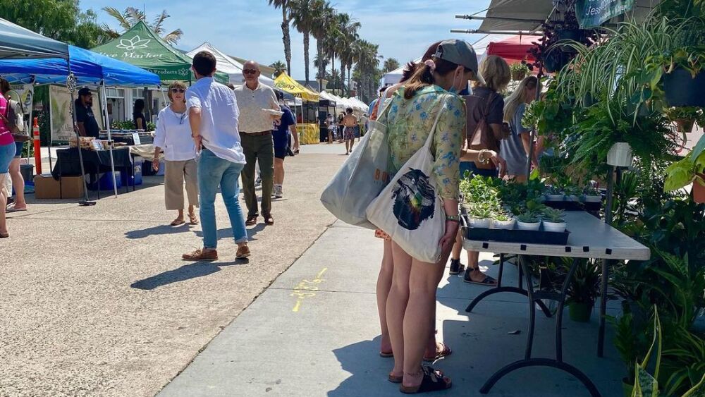 Shopping at the Pacific Beach Farmer's Market