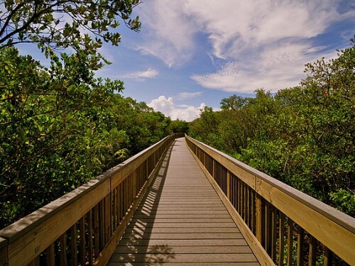 Weedon_Island_preserve_-_panoramio.jpeg