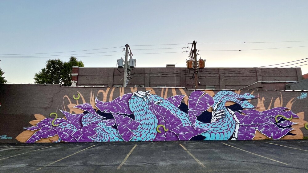 Photo of PHYBR mural_KC