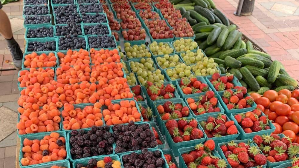 A table of berries at the Copley Square farmers market.