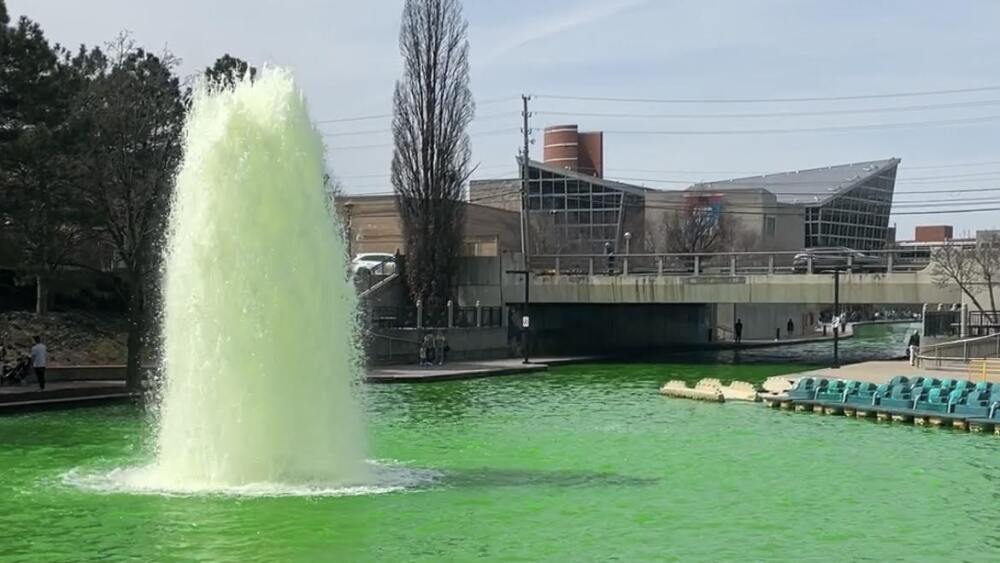 The downtown canal colored green