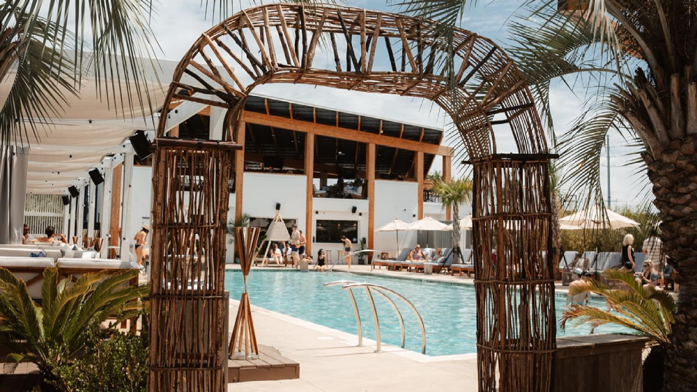 The entrance to the pool at The Wonderer Charleston featuring an oasis-style arch flanked by palm trees.