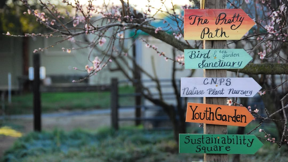 A wooden sign with arrows pointing at different spots at a farm, including a bird sanctuary and tea garden, youth garden, and a native plant nursery.