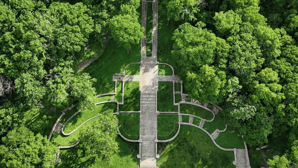 An aerial view of a stone walkway and short series of stairs that lead up through the lush green woods.