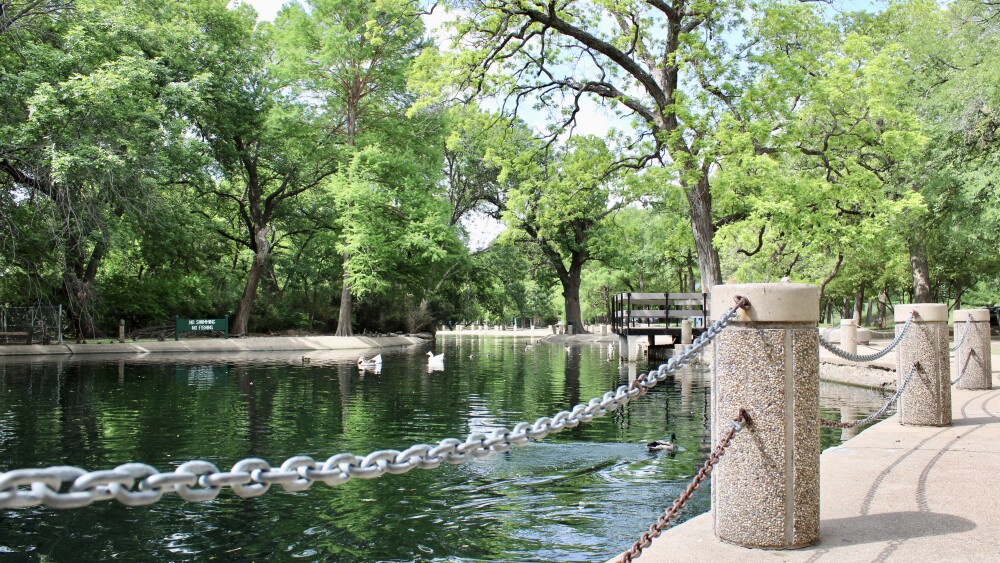 FTW-trinity-duck-pond
