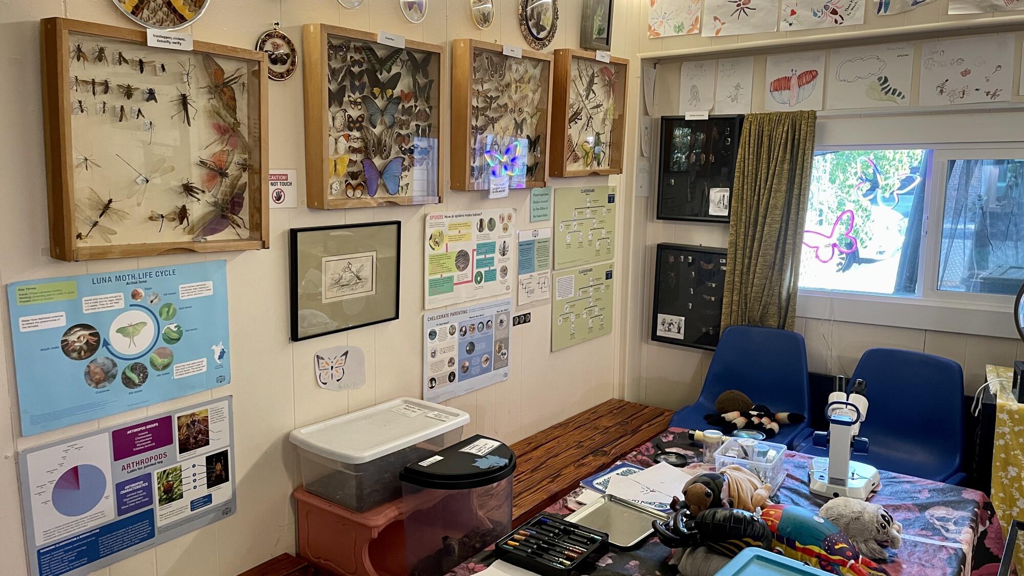 Explore the world of bugs at the Portland Insectarium - PDXtoday