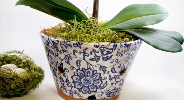 A terra cotta pot with a plant and decor.