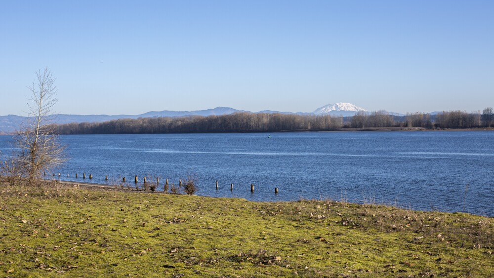 A snowcapped Mount St. Helens rises above the horizon across the Columbia River in the midst of winter