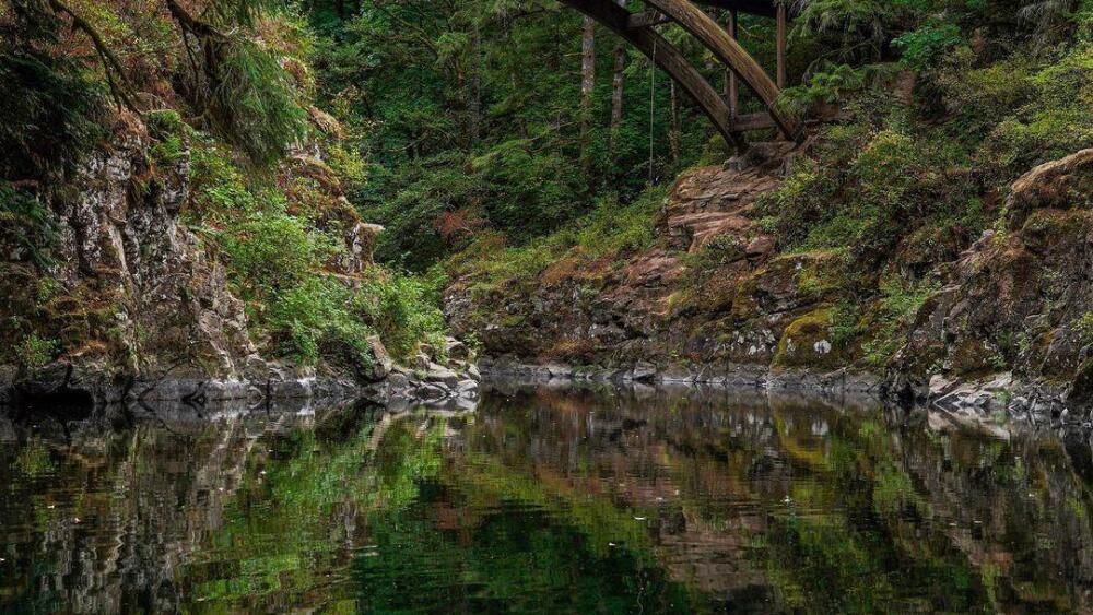 240833384_438777817387558_5316183507072558188_n