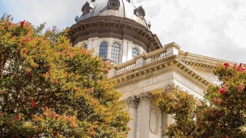 241080650_279034576988864_3584400468140966347_n