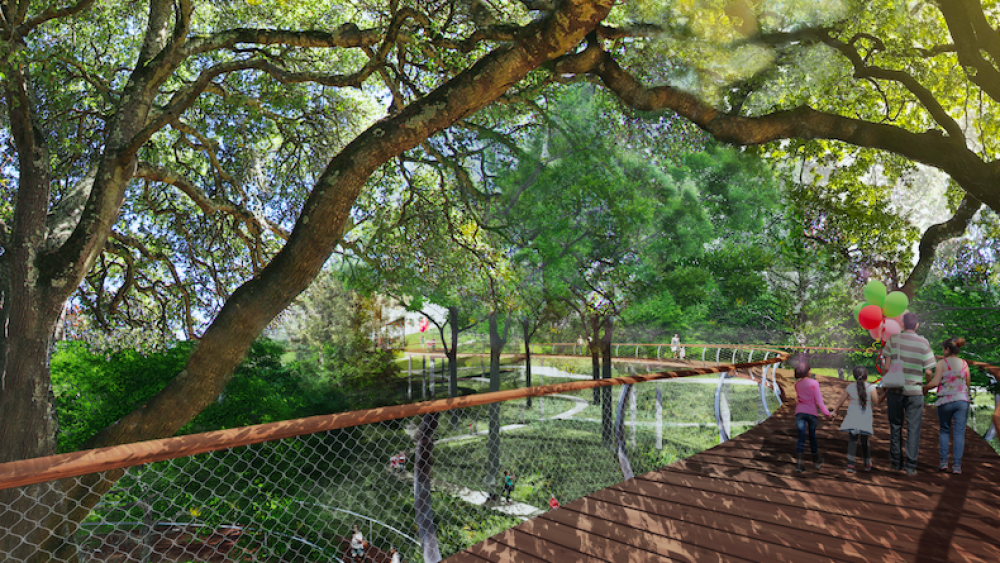 Canopy Walk