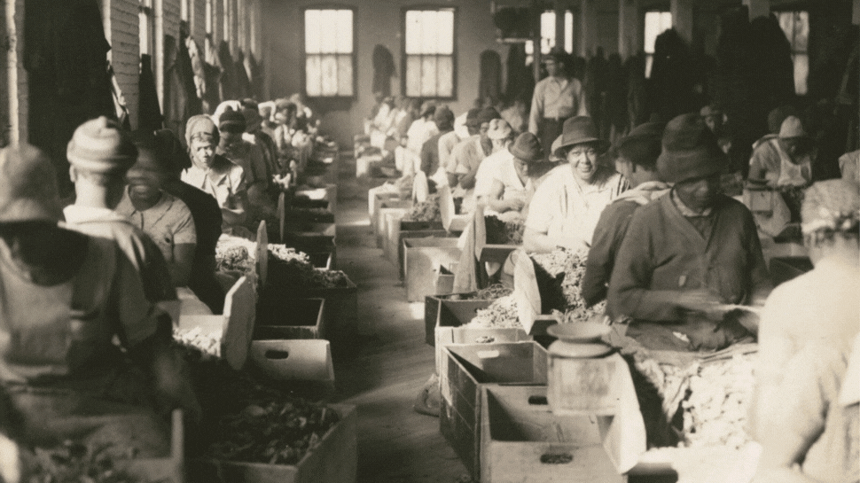 Workers in the stemming room of a tobacco factory, 1938 (1); Worker Strike at R.J. Reynolds Tobacco Company, 1947 (2); Strikers from United Tobacco Workers Local 22 union on the picket line at Piedmont Leaf Tobacco Company, 1946 (3); Arrest of 22-year-old Margaret DeGraffenreid (4); Gwendolyn Bailey entering R.J. Reynolds High School with Velma Hopkins and Harvey Johnston during the beginning of integration for R.J. Reynolds High School, 1957 (5).