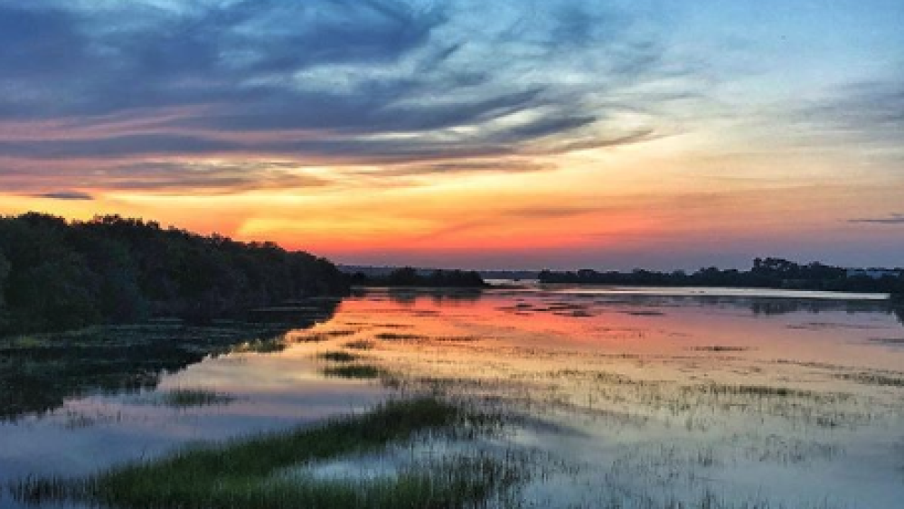 marsh at sunset