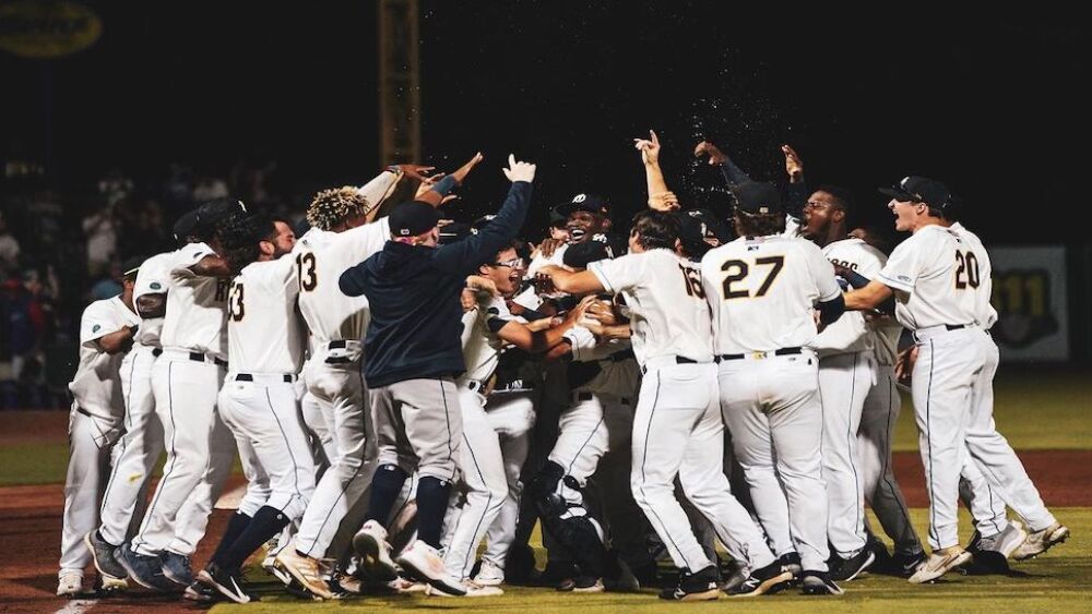 Riverdogs Stadium Illuminated at Night 2025
