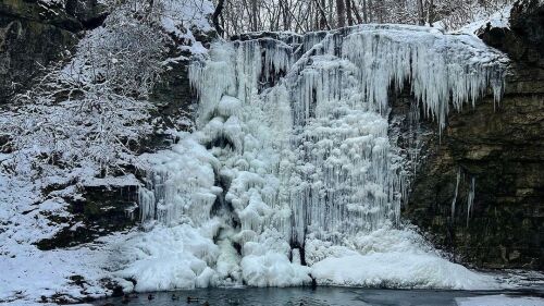 download - 2023-01-11T123449.919.jpeg