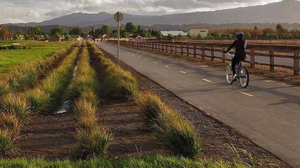 A person rides their bike on a trail that is surrounded by greenery.