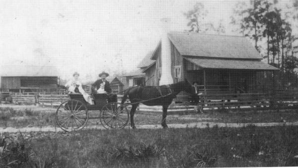 A vintage photo of a pioneer family in a horse-drawn carriage in the Medulla, FL area