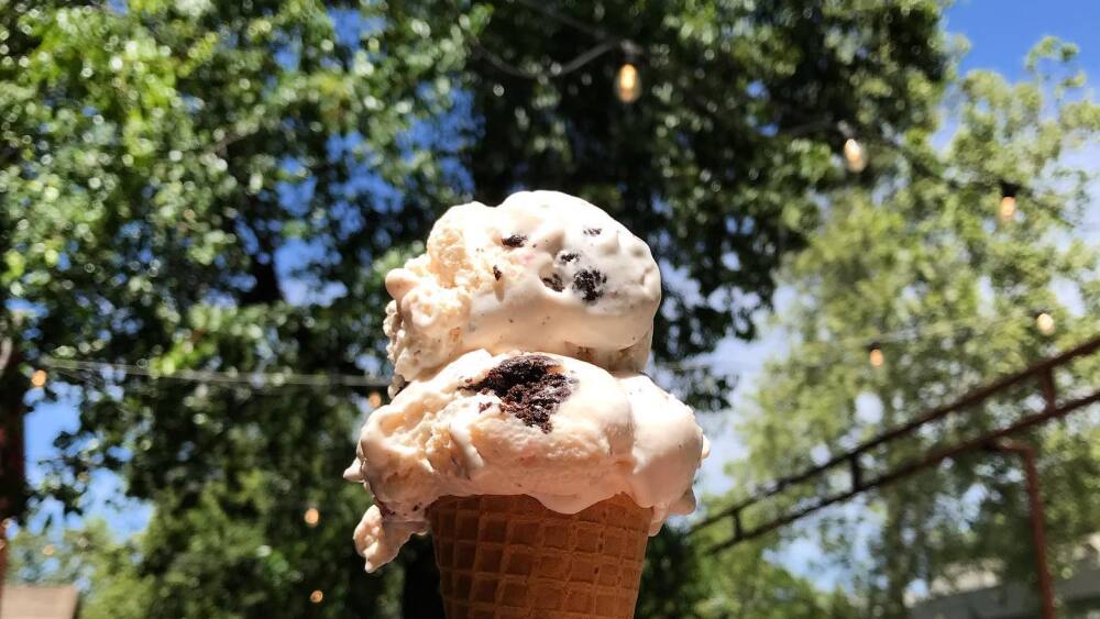 A hand holds up a double scoop of ice cream in front of a tree.