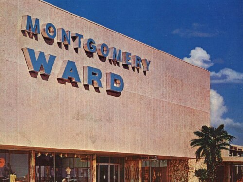 A large store with the words "Montgomery Ward" written across it on a bright, sunny day. Outside of the store are several bushes and a palm tree. Multiple clear windows show the inside of the store.
