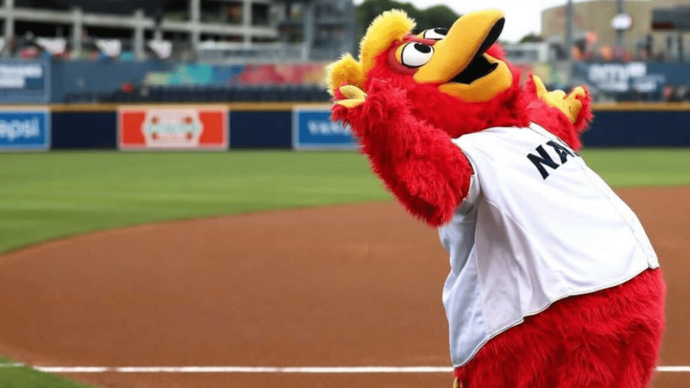 Wordpress Featured Image