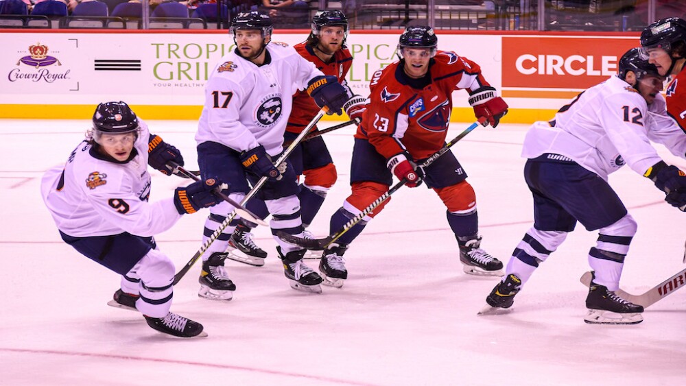 Event Feedback: Greenville Swamp Rabbits - ECHL vs South Carolina Stingrays