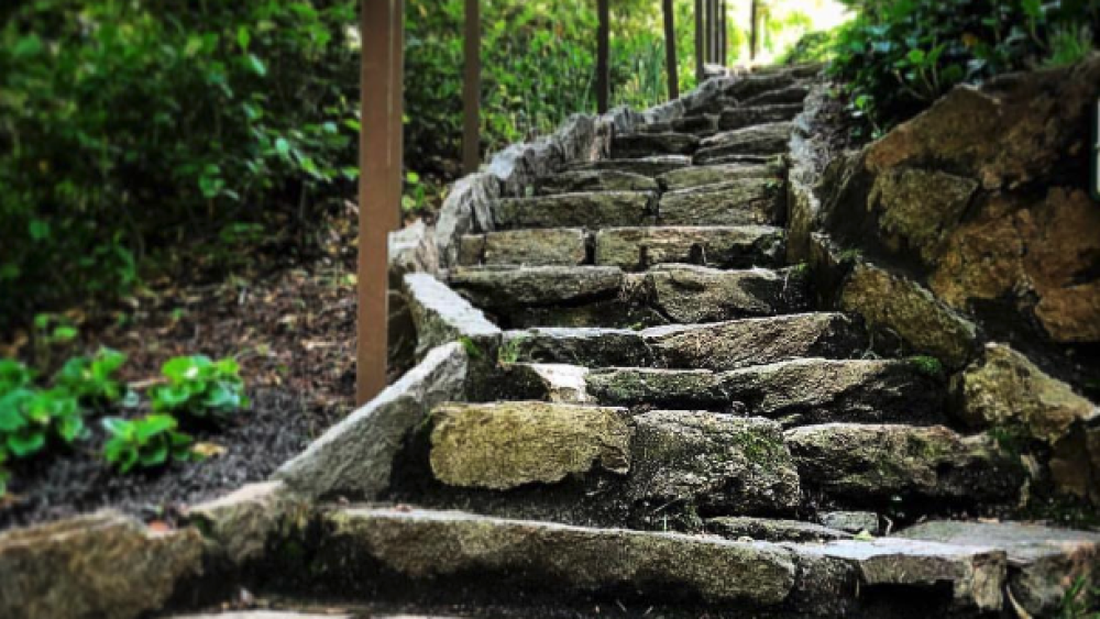 5 experiences greenville sc