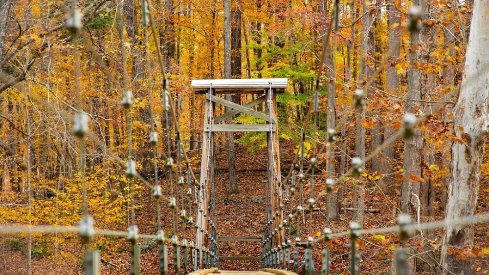 A suspension bridge of the Eno River in November.