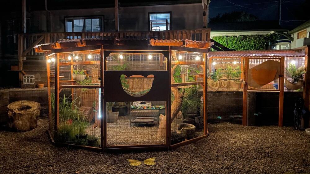 10th Annual Catio Tour Preview PDXtoday 10th-annual-catio-tour-preview-pdxtoday