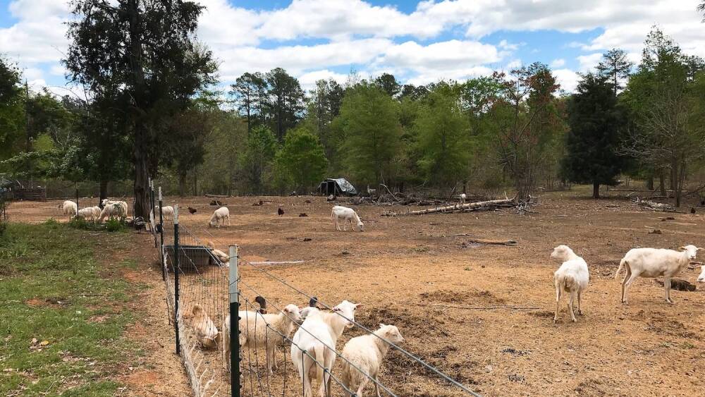 Know your farmer - COLAtoday