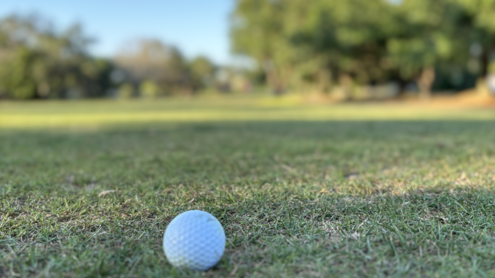 An up-close shot of a golf ball from near the ground. The ball is sitting in the fairway, with streaks of light ahead on the grass. The trees in the background are blurry, but their fluffiness is visible beneath cloudless skies.