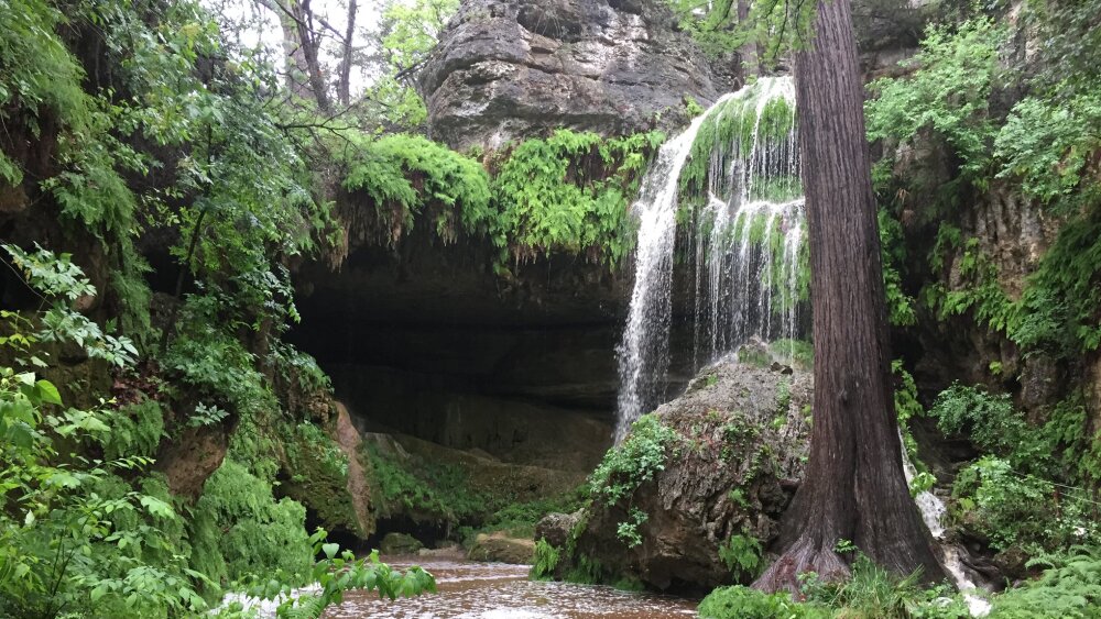 40-foot waterfall in Austin, Texas backed by caves, diverse vegetation and an emerald pool.