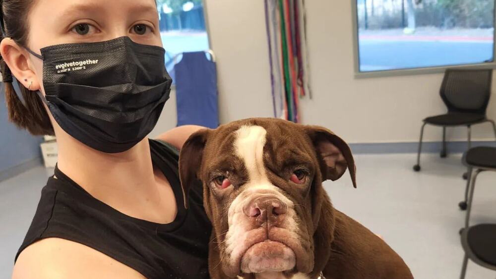 A woman posing with a bulldog.