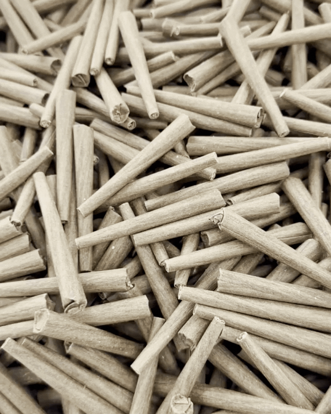 franklin's paper for rolling blunts